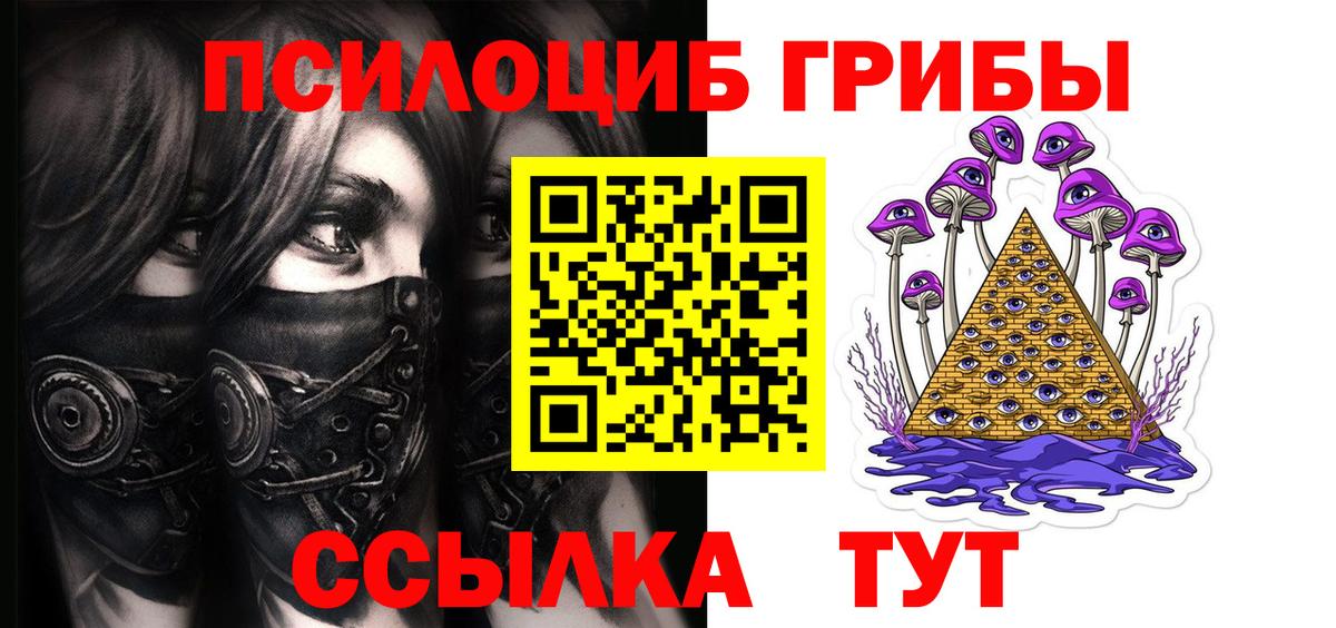Псилоцибиновые грибы Magic Shrooms  где можно купить   Северск  Вход с VPN 